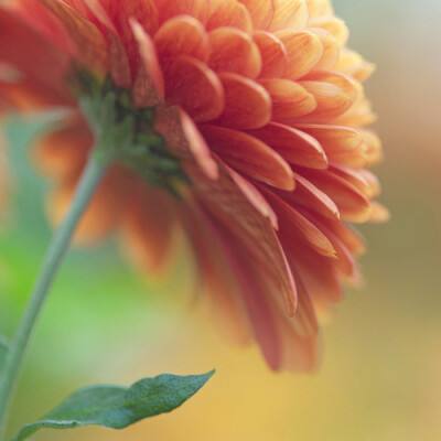 澳门人威尼斯官方